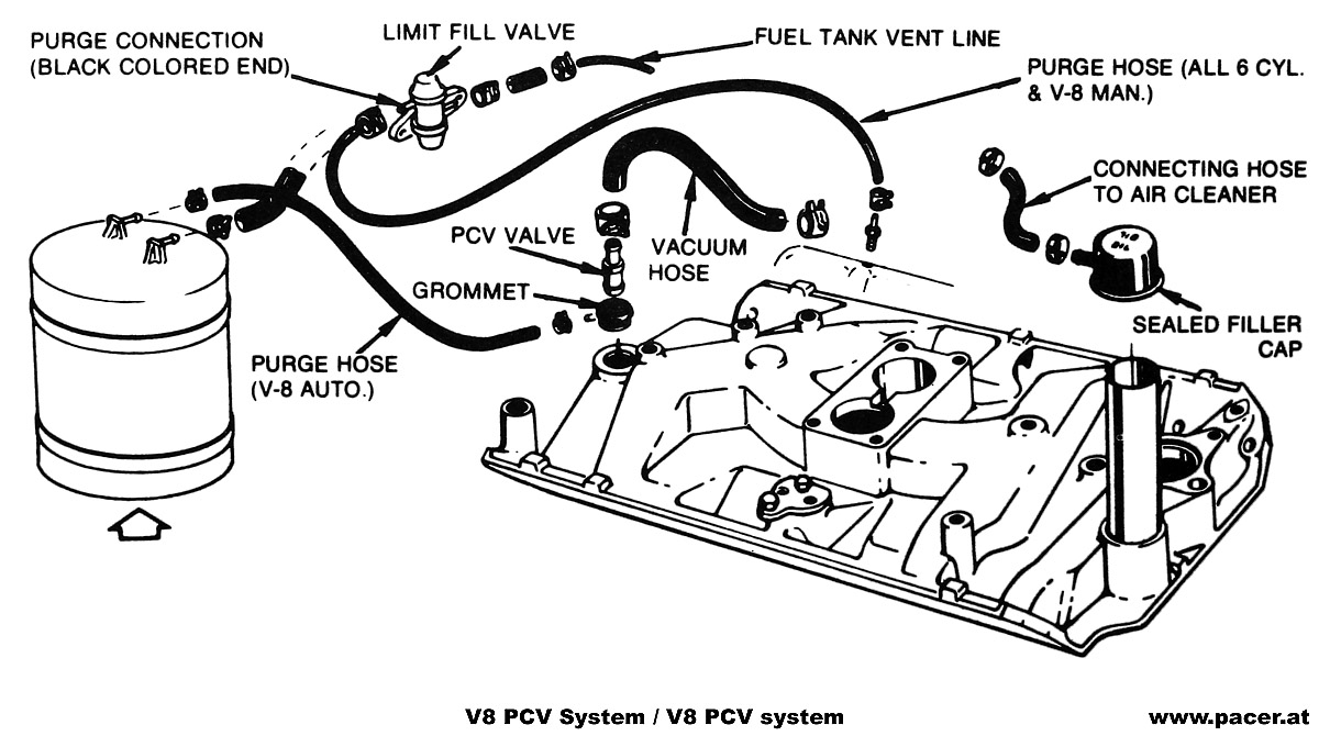 Download nur f�r Privatzwecke.
